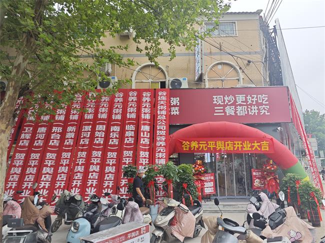 谷养元驻马店平舆店 谷养元驻马店平舆店